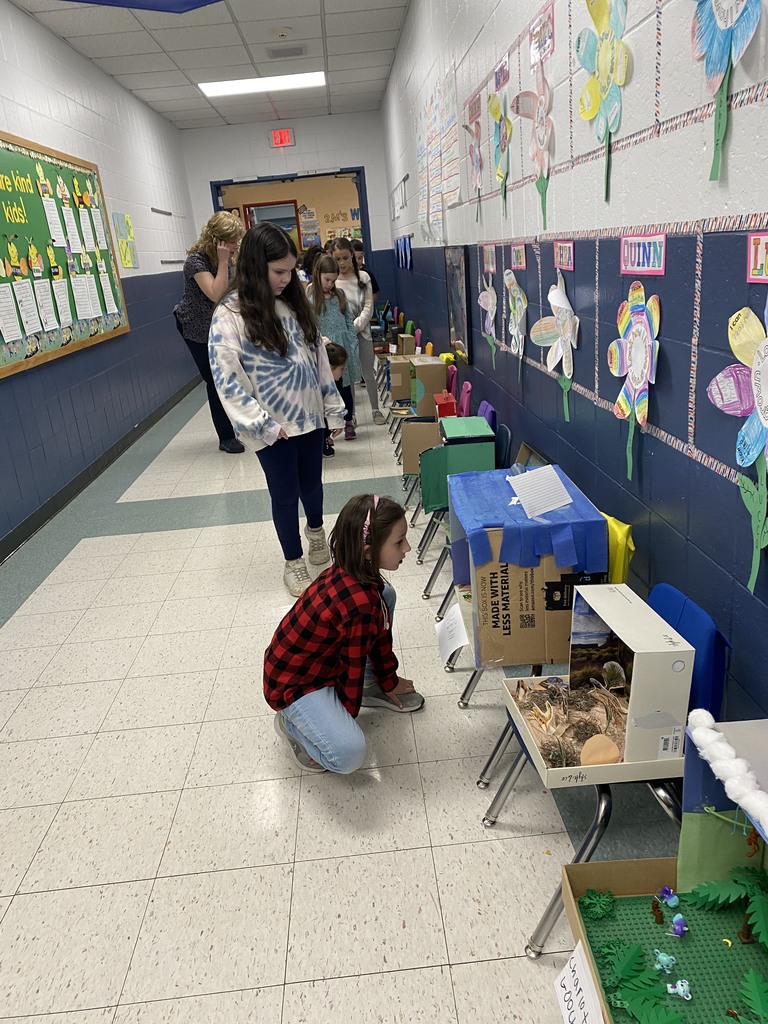students looking at the animal habitat dioramas in the hallway of a school